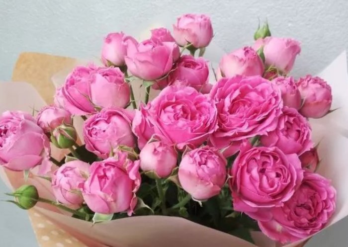 Цветочные магазины Новосибирска – цветы для настроения