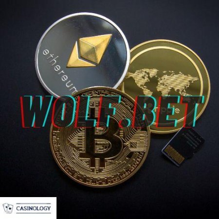 Криптовалютное Wolf bet казино: методы регистрации, игровая коллекция и безопасность игрока